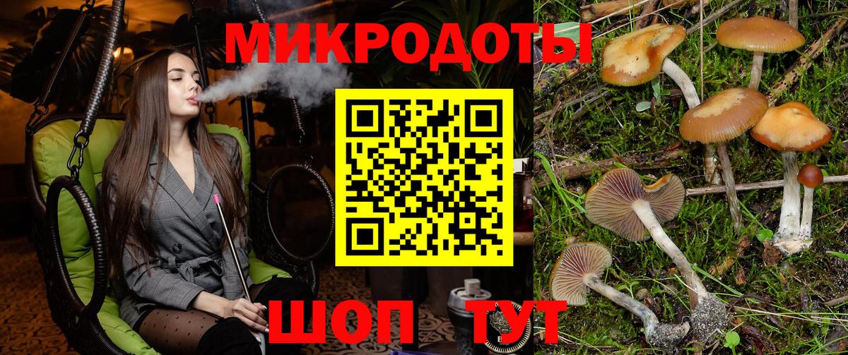 Псилоцибиновые грибы мицелий  Псилоцибиновые грибы ЛСД  Кизилюрт  Вход с VPN 
