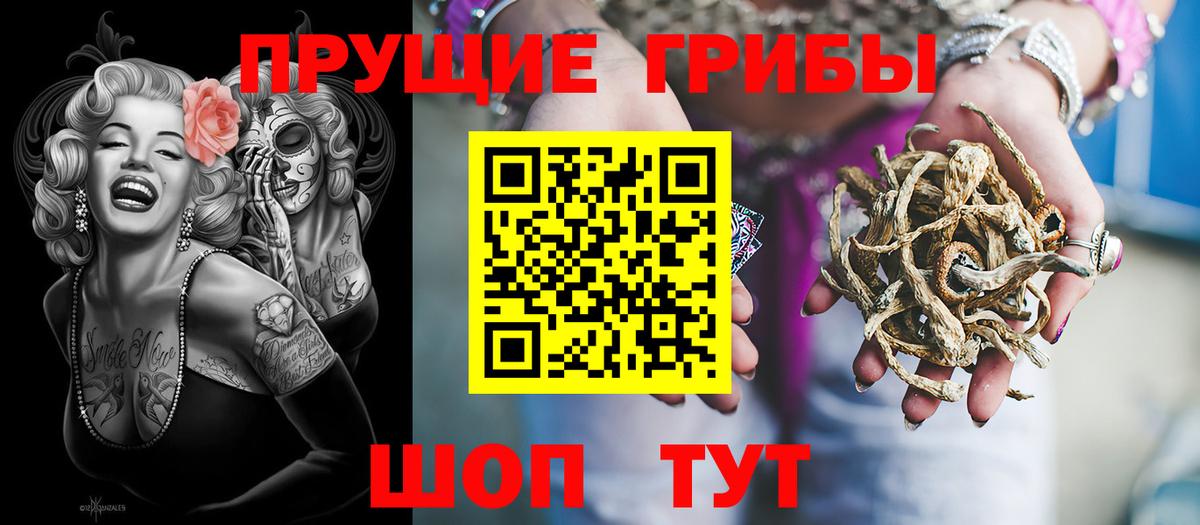 Псилоцибиновые грибы MAGIC MUSHROOMS Кизилюрт